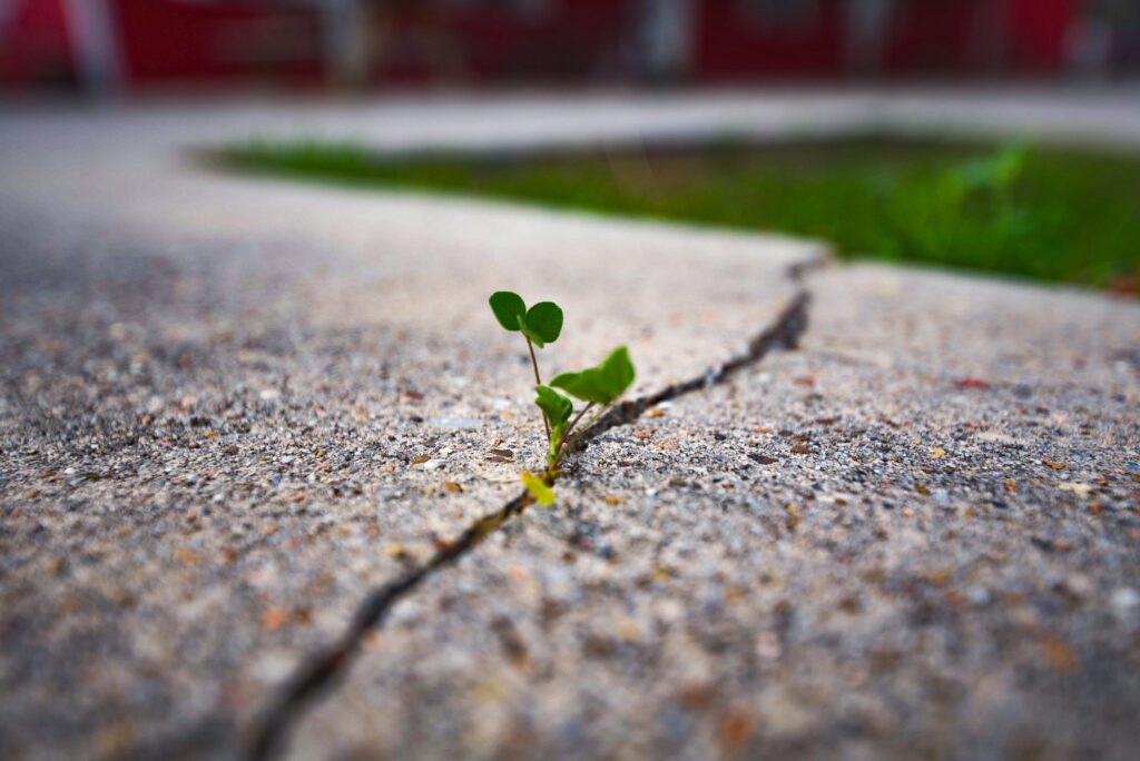 Microsoftteams Image